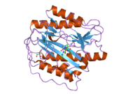 2nq6: Crystal structure of human methionine aminopeptidase type 1 in complex with 3-tert-Butoxycarbonylaminopyridine-2-carboxylic acid thiazole-2-ylamide