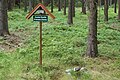 Quelle des Zwotawassers (Kleine Zwota) nahe der Kärnerstraße bei Gunzen