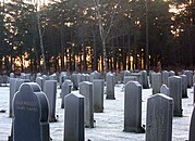 Các mộ tại nghĩa trang