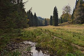 Talgrund am oberen Ende des Groß-Gößgrabens mit jungem Gößbach. Links hinten der Pöllasattel.