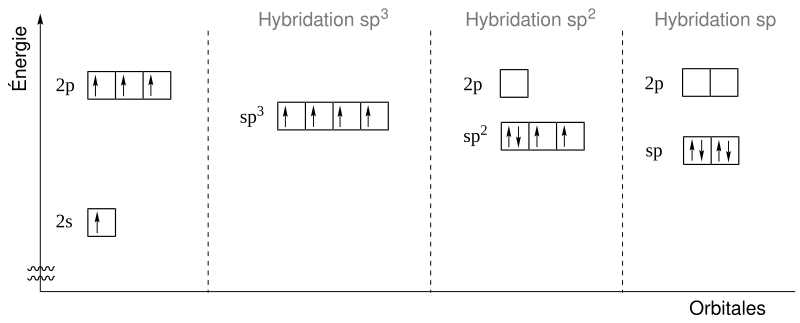 Diagramme décrivant l'hybridation des orbitales 2s et 2p en orbitales sp, sp2 et sp3.