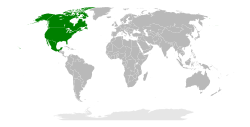 Location of Consortium for North American Higher Education Collaboration Consortium pour la collaboration dans l'enseignement supérieur en Amérique du Nord (French) Consorcio para la Colaboración de la Educación Superior en América del Norte (Spanish)