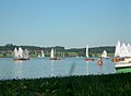 optimistoj kun ligna ŝipotrunko sur la lago Chiemsee