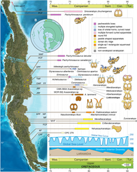 Map showing dinosaur skulls distributed across western North America