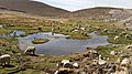 Bij het Soncollo-ravijn, noordoostelijk van de stad Arequipa, Peru