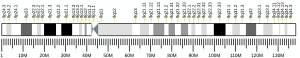 9番染色体 (ヒト)