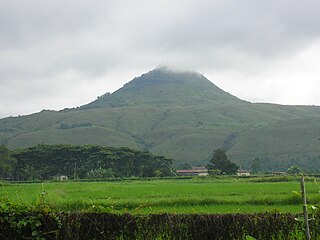 Musuan sa Bukidnon