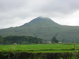 Musuan idiay Bukidnon