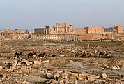 Vue op Palmyra mam Baaltempel