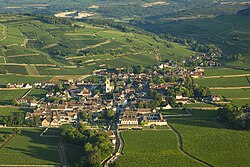 Skyline of Pommard