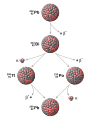 Image 30Example of a radioactive decay chain from lead-212 (212Pb) to lead-208 (208Pb) . Each parent nuclide spontaneously decays into a daughter nuclide (the decay product) via an α decay or a β− decay. The final decay product, lead-208 (208Pb), is stable and can no longer undergo spontaneous radioactive decay. (from Radiometric dating)
