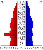 Bevolkingspiramide Craven County