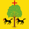 Bandeira de Santa Cruz de la Salceda