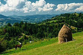 Rodna mendigunea, iparraldeko Errumanian