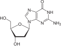 Kemia strukturo de deoksoguanozino