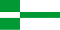 Bandeira oficial de Paide