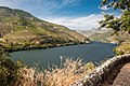 Lembah Douro Atas tempat Port wine tumbuh