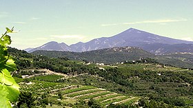 Image illustrative de l’article Ventoux (AOC)