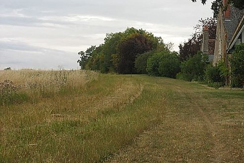 Photographie en couleurs de paysages naturels et agricoles bordés d'une haie à droite, un arbre visible en arrière-plan.