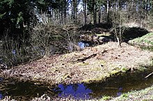 Une accumulation de débris végétaux sur l'eau