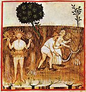 Campesinos segando. Ilustración del siglo XIV (Tacuinum sanitatis).