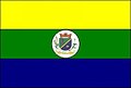 Bandeira de Pilar de Goiás