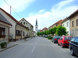 Braslovče – Veduta