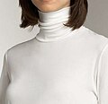 A turtleneck