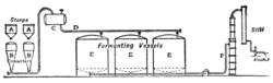 Fig. 10.—Diagram of the Amylo Process.