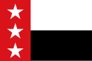 Vlag van die Republiek van die Rio Grande, 17 Januarie 1840 tot 6 November 1840
