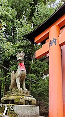 Fuchs, Fushimi Inari-Taisha