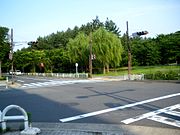 辰巳の森緑道公園