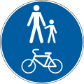 Bicycle and pedestrian path