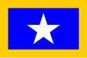 Vlag