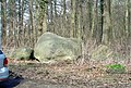 Naturdenkmal: Vier Findlinge im Lohnder Holz