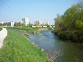 Der Zusammenfluss von Nitra und Nitrica