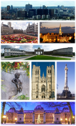 Sarong collage na may pirang ta'nawon kan Brussels, Rukrok: Ta'nawon kan distritong negosyo nin Northern Quarter, panduwa sa wala: Floral carpet event sa Grand Place, panduwa sa tuo: lugar nin Brussels Town Hall asin Mont des Arts, Pan-3: Parke nin Cinquantenaire, Pan-4 sa wala: Manneken Pis, Pan-4 sa tahaw: St. Michael and St. Gudula Cathedral, pan-4 sa tuo: Congress Column, ibaba: Royal Palace of Brussels