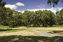 A grassy park with trees in the background