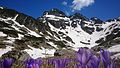 Image 34Alpine landscape below Malyovitsa Peak, Rila Mountain, Bulgaria (from Montane ecosystems)