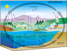 Datei:Carbon cycle-cute diagram-german.svg