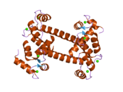 2f2o: Structure of calmodulin bound to a calcineurin peptide: a new way of making an old binding mode