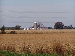 Corn and soybeans dominate Pleasant Township