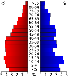 Schéma représentant la population du comté, par tranche d'âge. En rouge, à gauche, les femmes, en bleu à droite, les hommes.