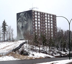 Spirit Way wolf mural on the side of the Highland Tower