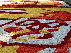 Détail d'un tapis de fleurs de bégonias à Hoorn (Pays-Bas).