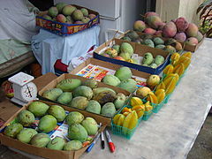 A mango stand in Merritt Island, Florida