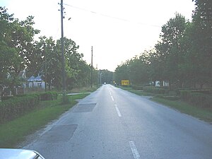 A street in Opovo