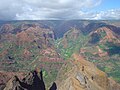 Image 16Waimea Canyon, Hawaii, is known for its montane vegetation. (from Montane ecosystems)