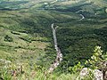 Mata ciliar, na Serra da Canastra, MG.