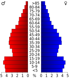 Schéma représentant la population du comté, par tranche d'âge. En rouge, à gauche, les femmes, en bleu à droite, les hommes.